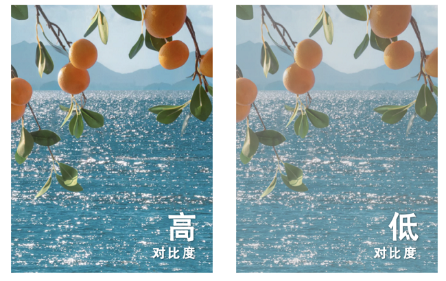 圖片 3.png