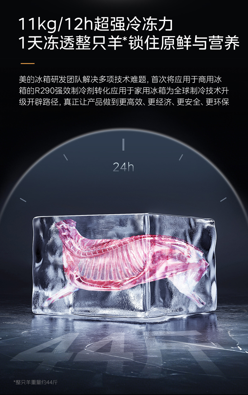 大冷凍力.png