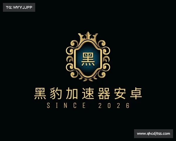 认识黑豹加速器安卓